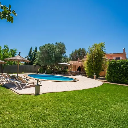 Olivera Id:72213 Alcudia (Mallorca)