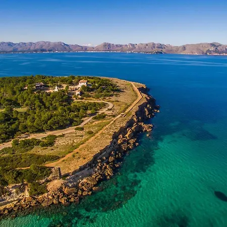 Olivera Id:72213 Alcudia (Mallorca)
